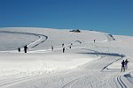 Pista di fondo ai Piani dell'Avaro (dom. 11 gennaio 09) - FOTOGALLERY